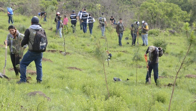 35377440931_e1bd60e162_b