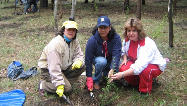 Campaña_de_reforestacion